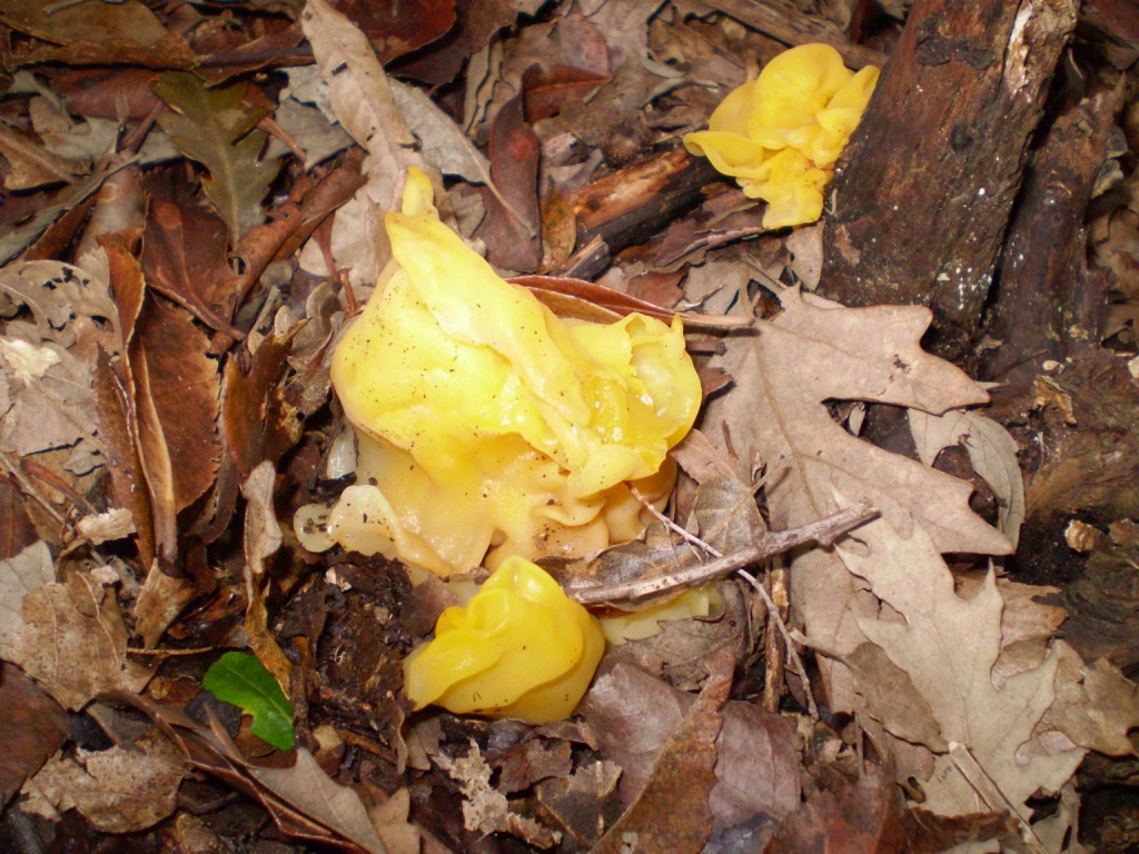 escursione 02 ottobre